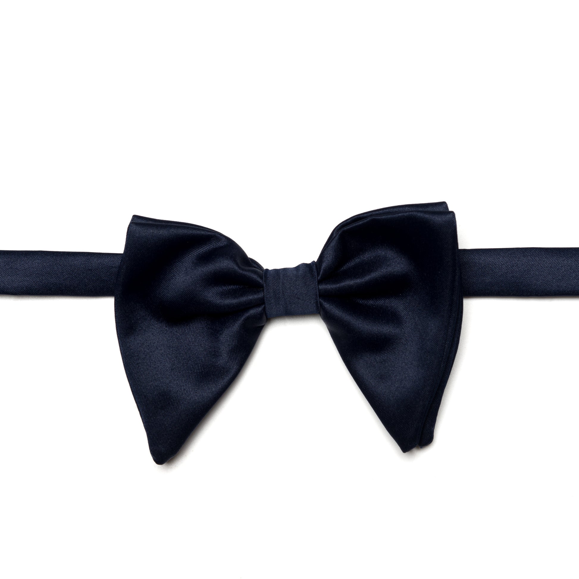 Blue Bow Tie